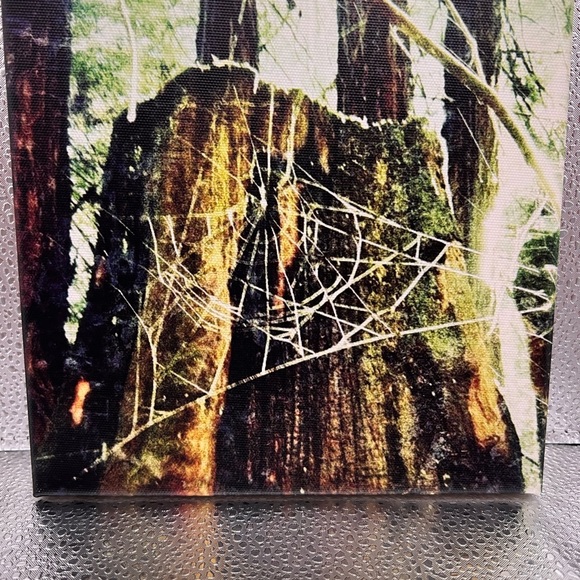 These canvas prints are so special! 8 x 8 and size great for gifting! - Picture 1 of 15